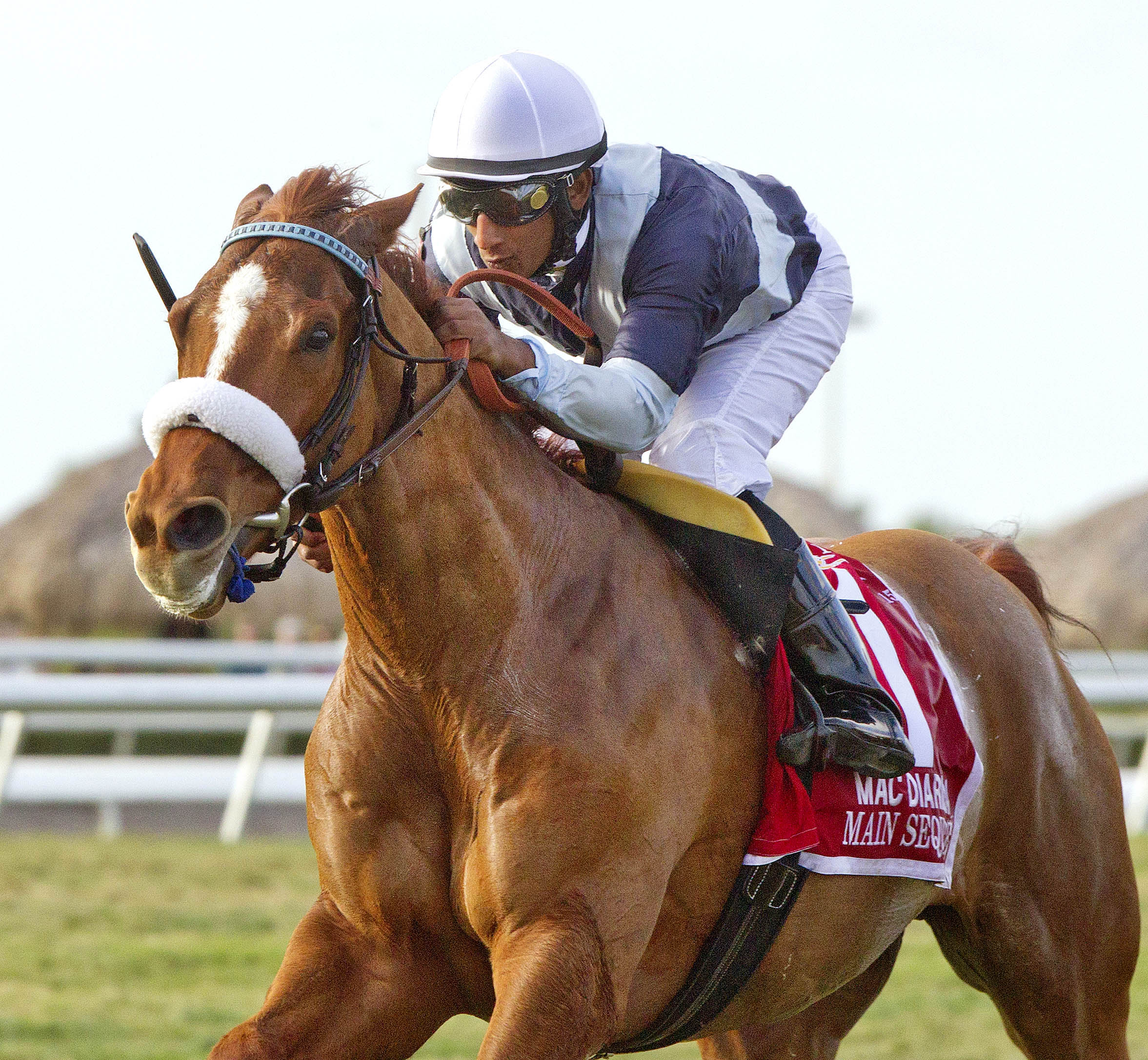 Main Sequence wins the Mac Diarmida