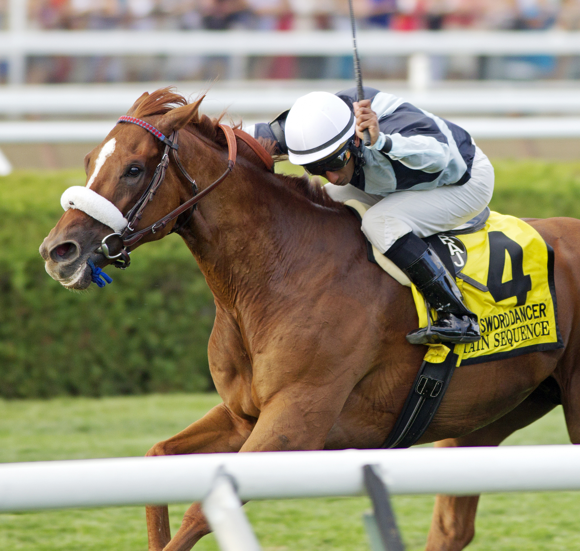 Main Sequence wins the Sword Dancer