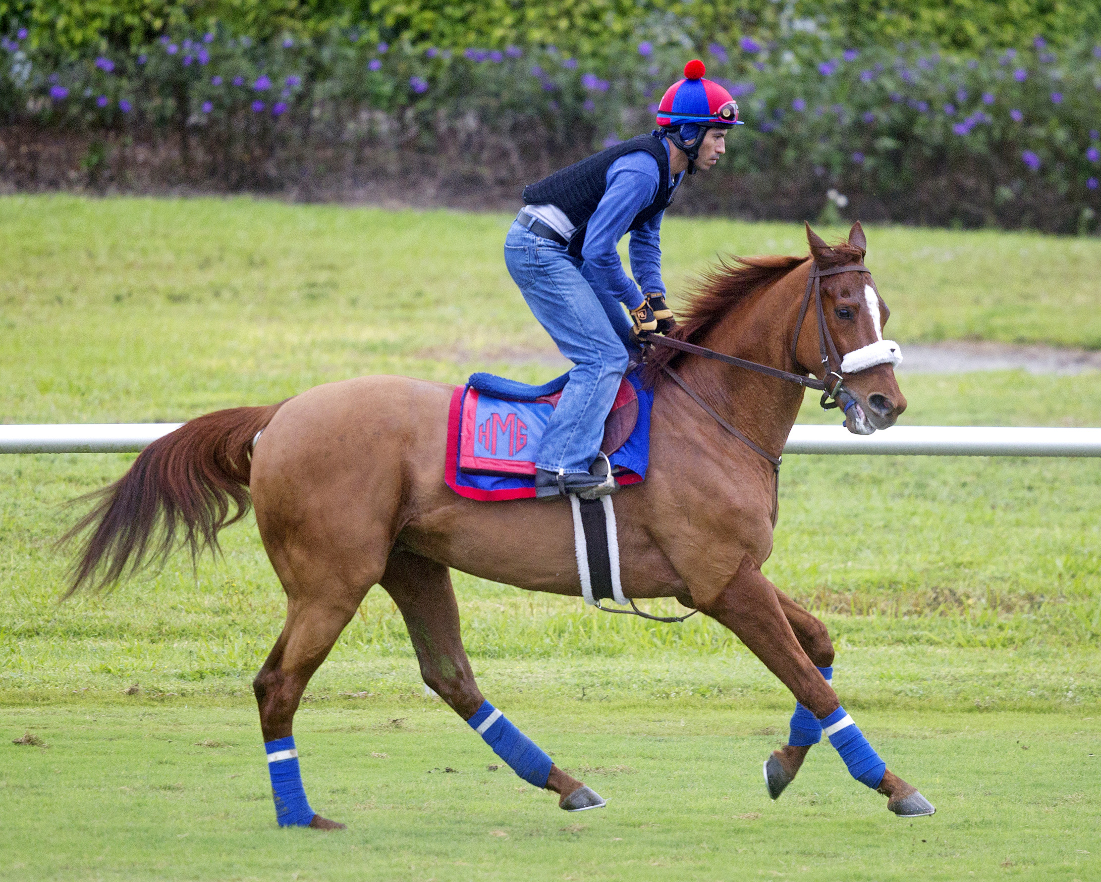 Main Sequence at Palm Meadows on Jan. 26