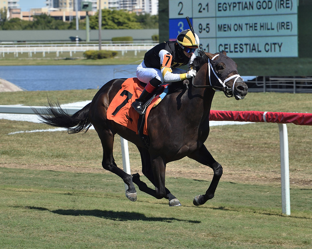 Main Event wins a Jan. 30 maiden race at Gulfstream Park