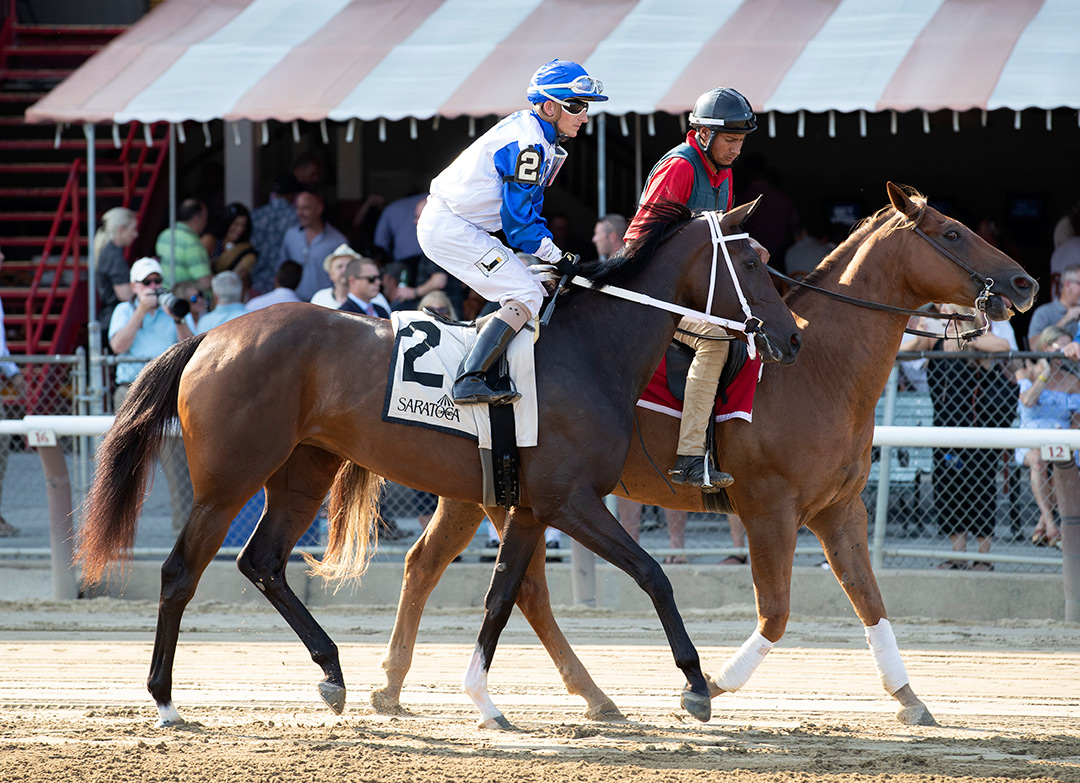 Mainstay at the 2021 Schuylerville Stakes at Saratoga Race Course