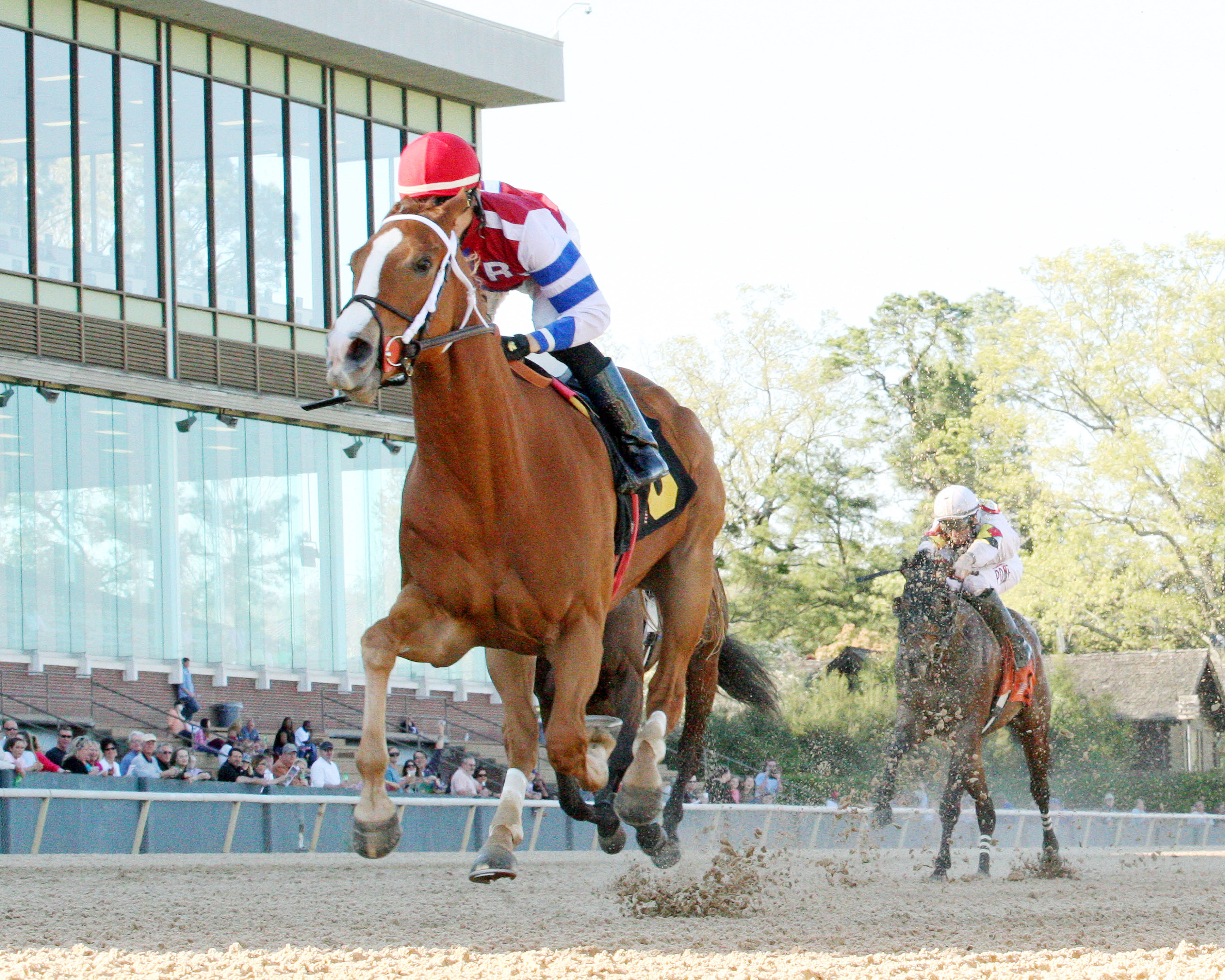 Maize Road wins the Rainbow Stakes