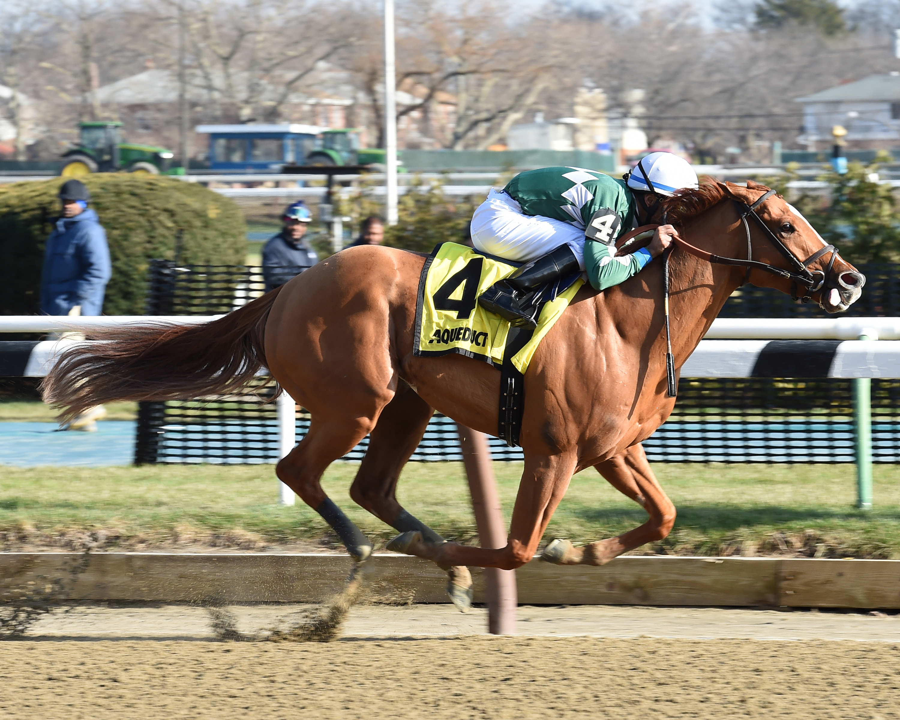 Majestic Affair wins the Jazil Stakes