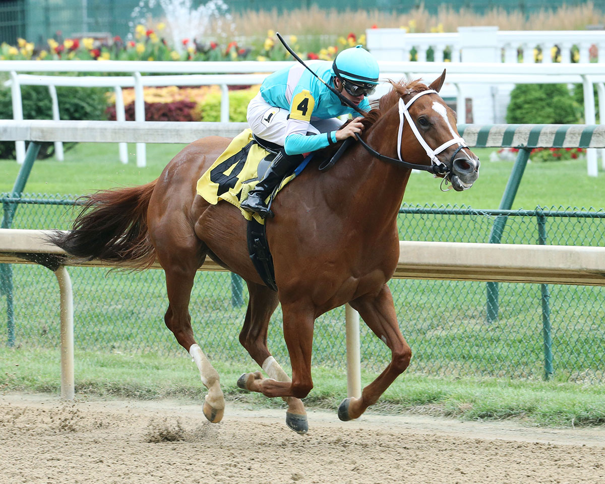 Majestic Affair wins a June 23 allowance race