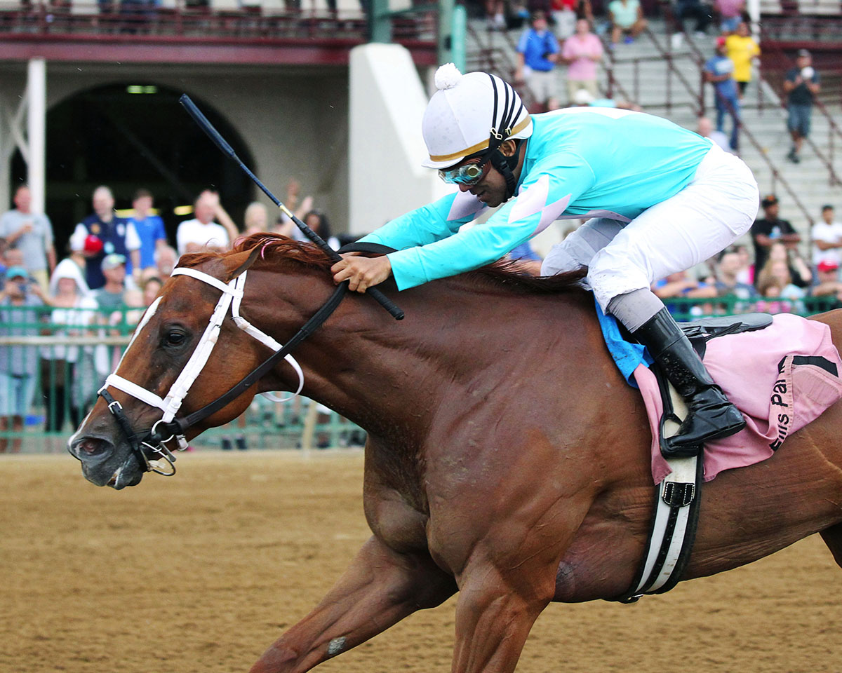 Majestic Affair wins the 2018 Good Lord