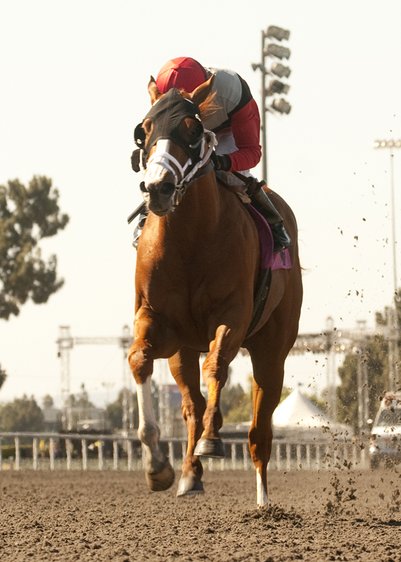 Majetic City 7-17-2011
