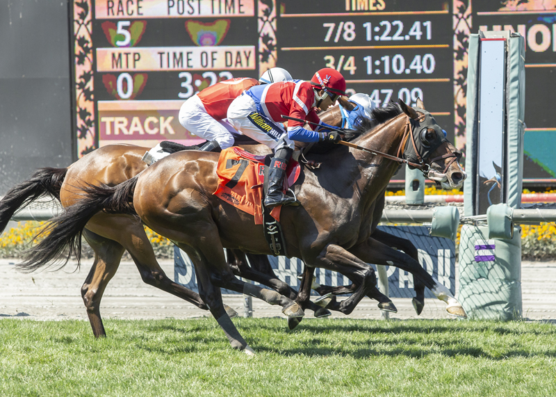 Majestic Eagle (No. 7) wins the the 2019 American Stakes