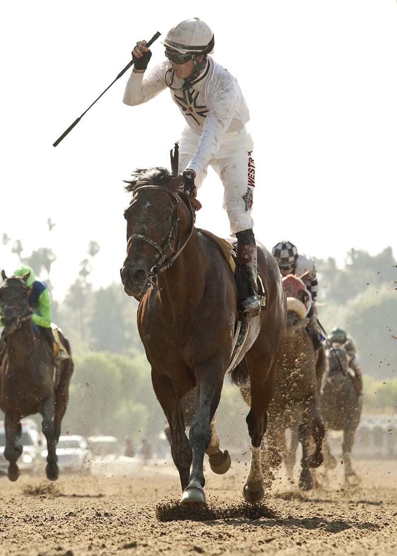Majestic Harbor wins 2014 SA Gold Cup