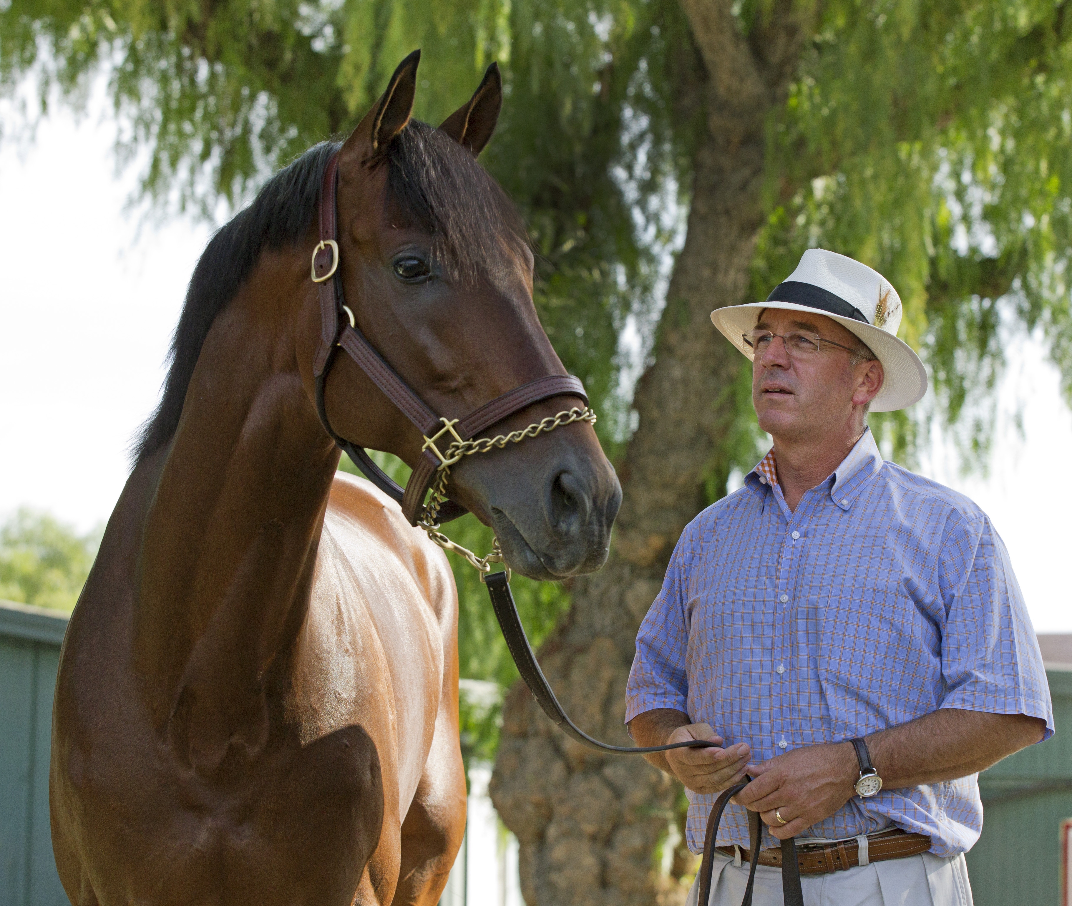 Sean McCarthy with Majestic Harbor in 2014