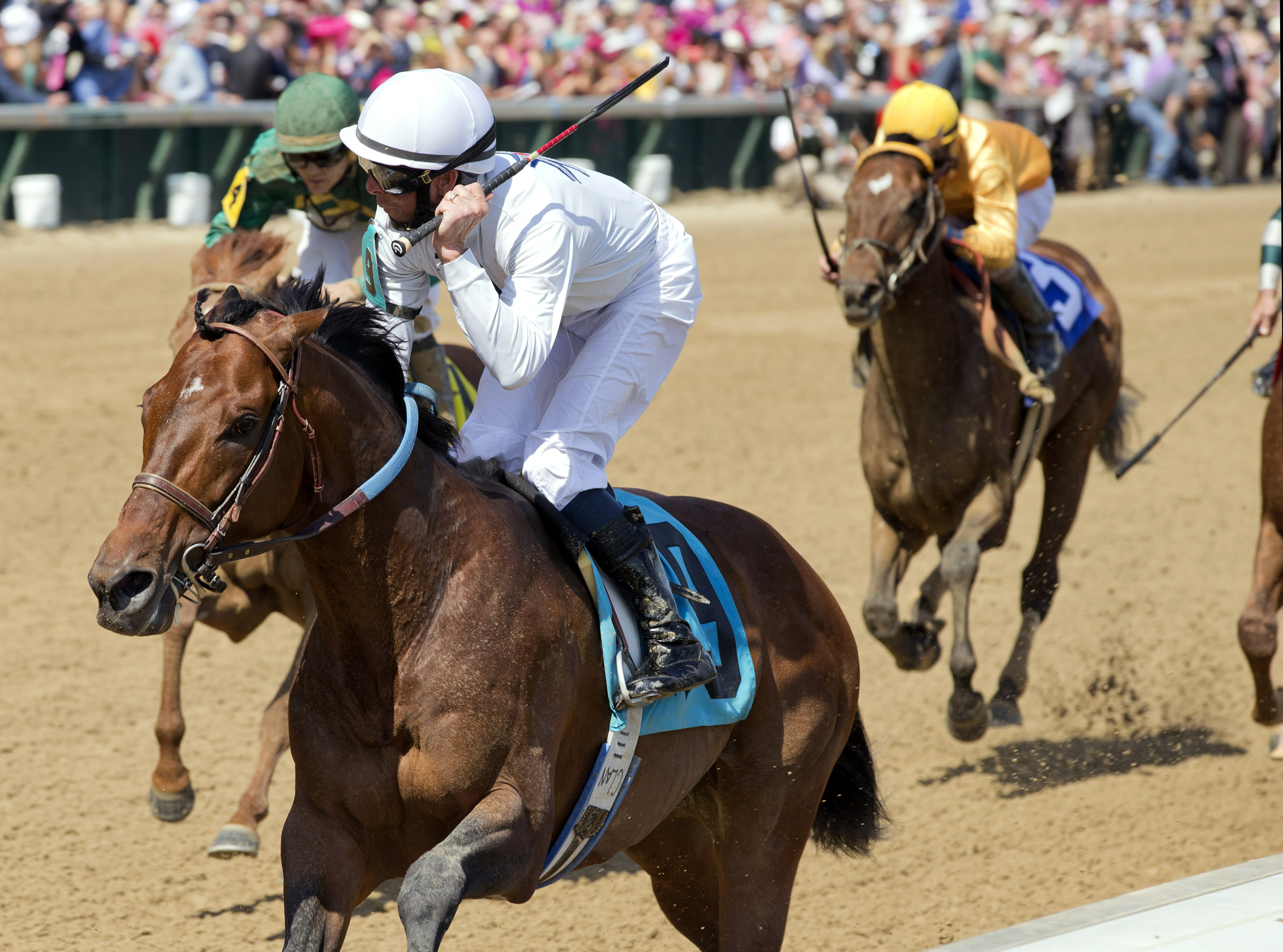 Majestic Harbor wins the Alysheba