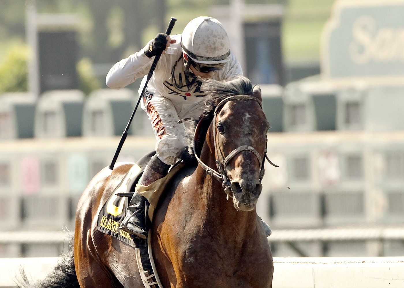 Majestic Harbor wins the Gold Cup