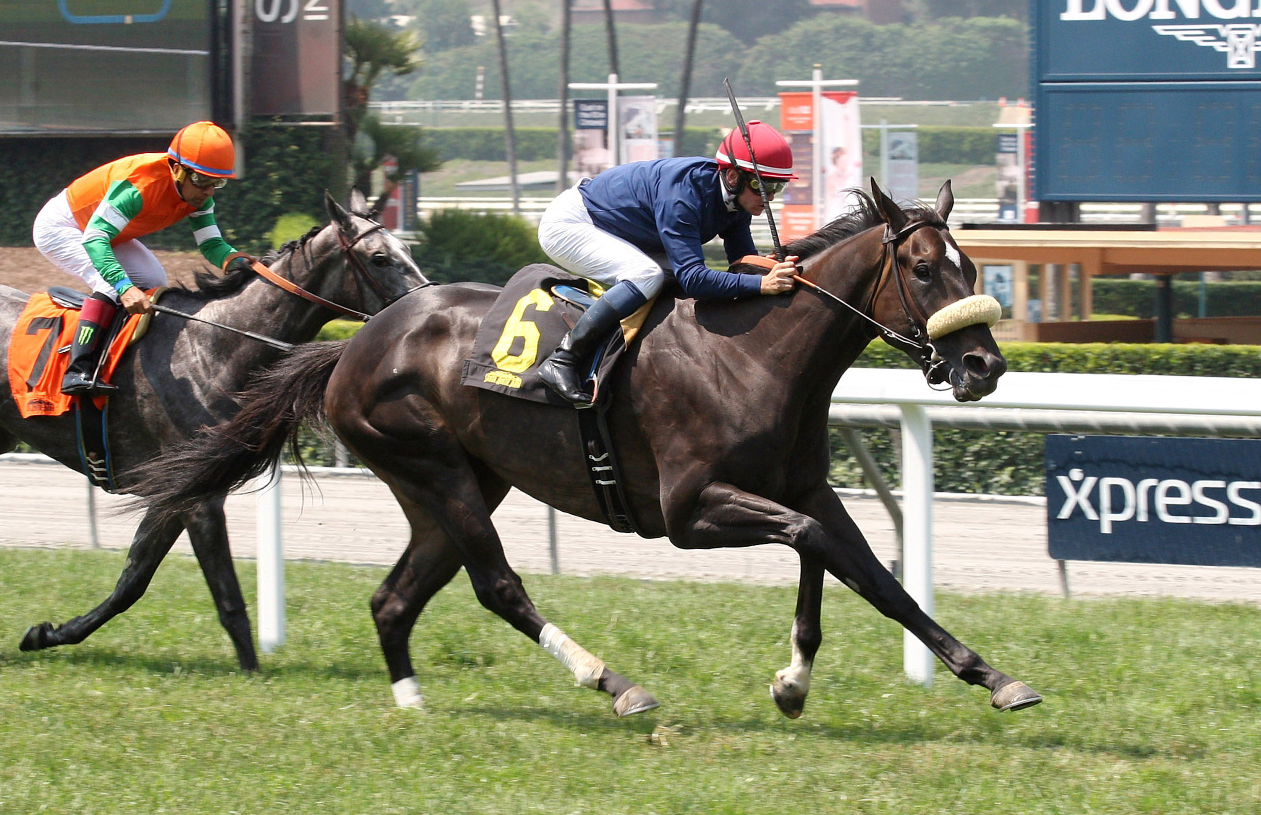 Majestic Heat wins an allowance optional claiming race on June 17