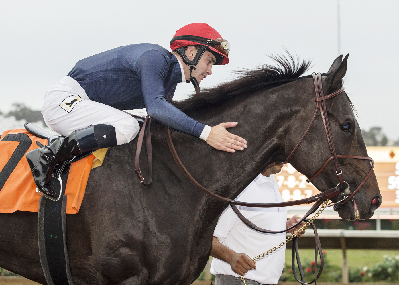 Majestic Heat after winning the Betty Grable Stakes