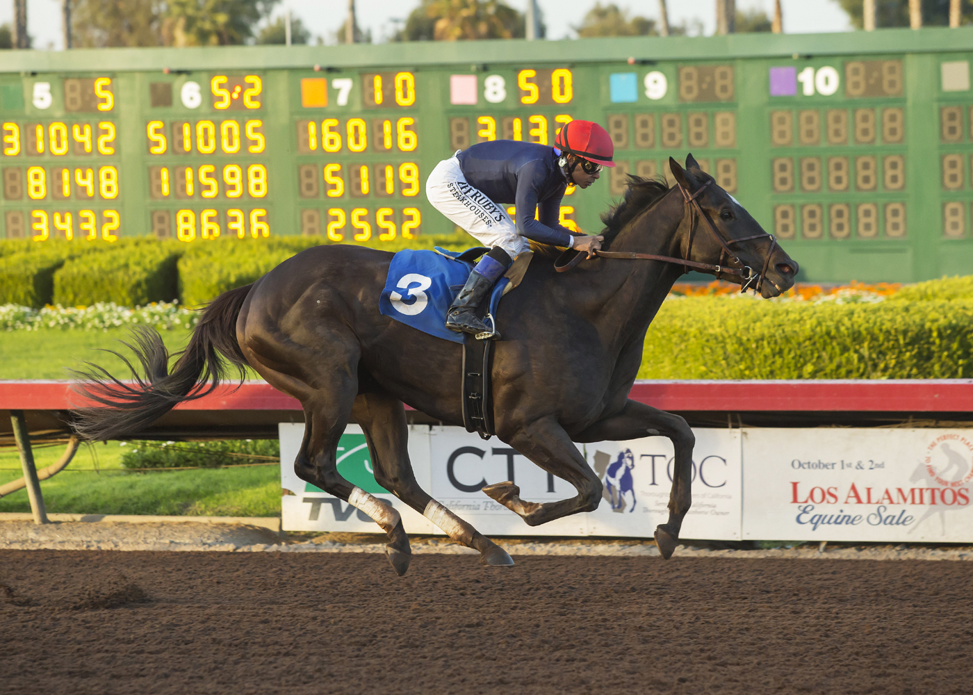Majestic Heat wins the 2017 Bayakoa