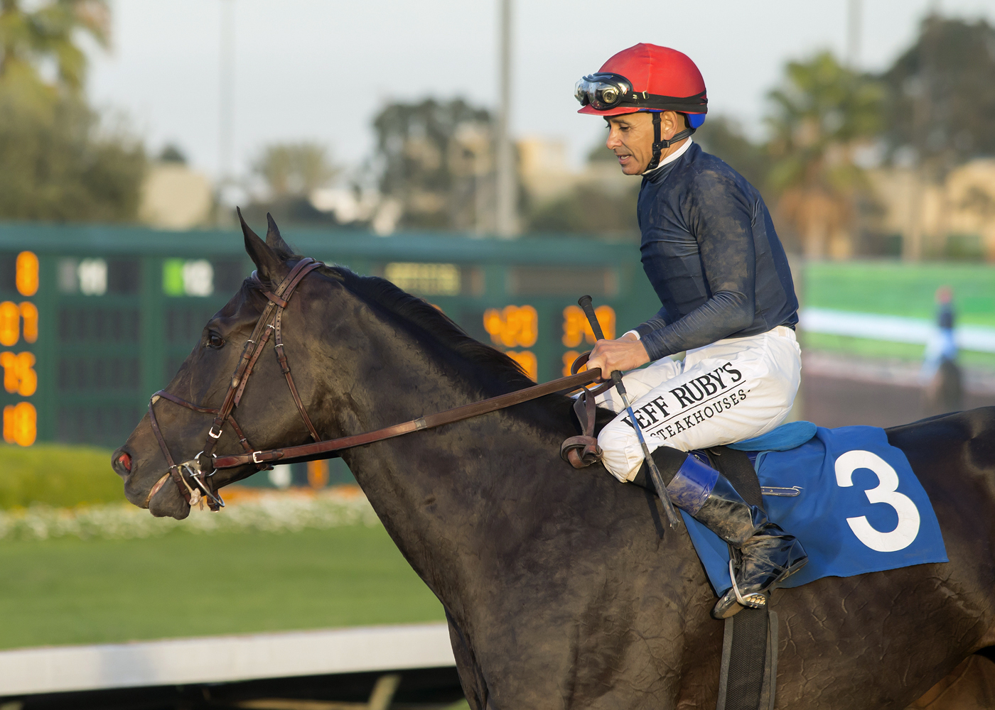 Majestic Heat wins the 2017 Bayakoa Stakes