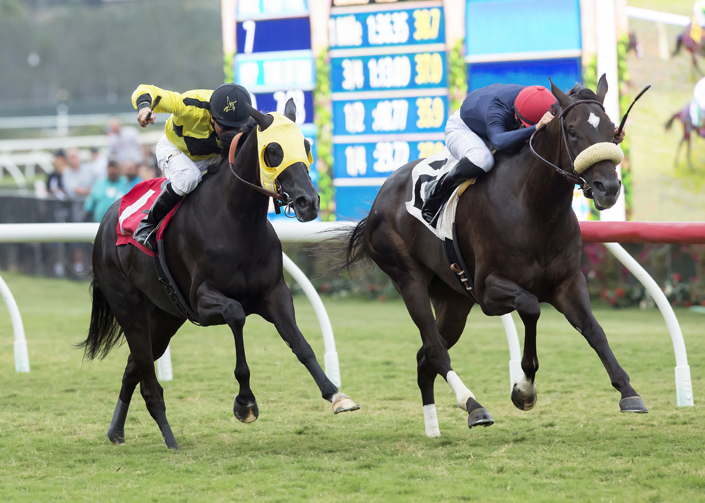 Moonless Sky finishes second in the Solana Beach Stakes