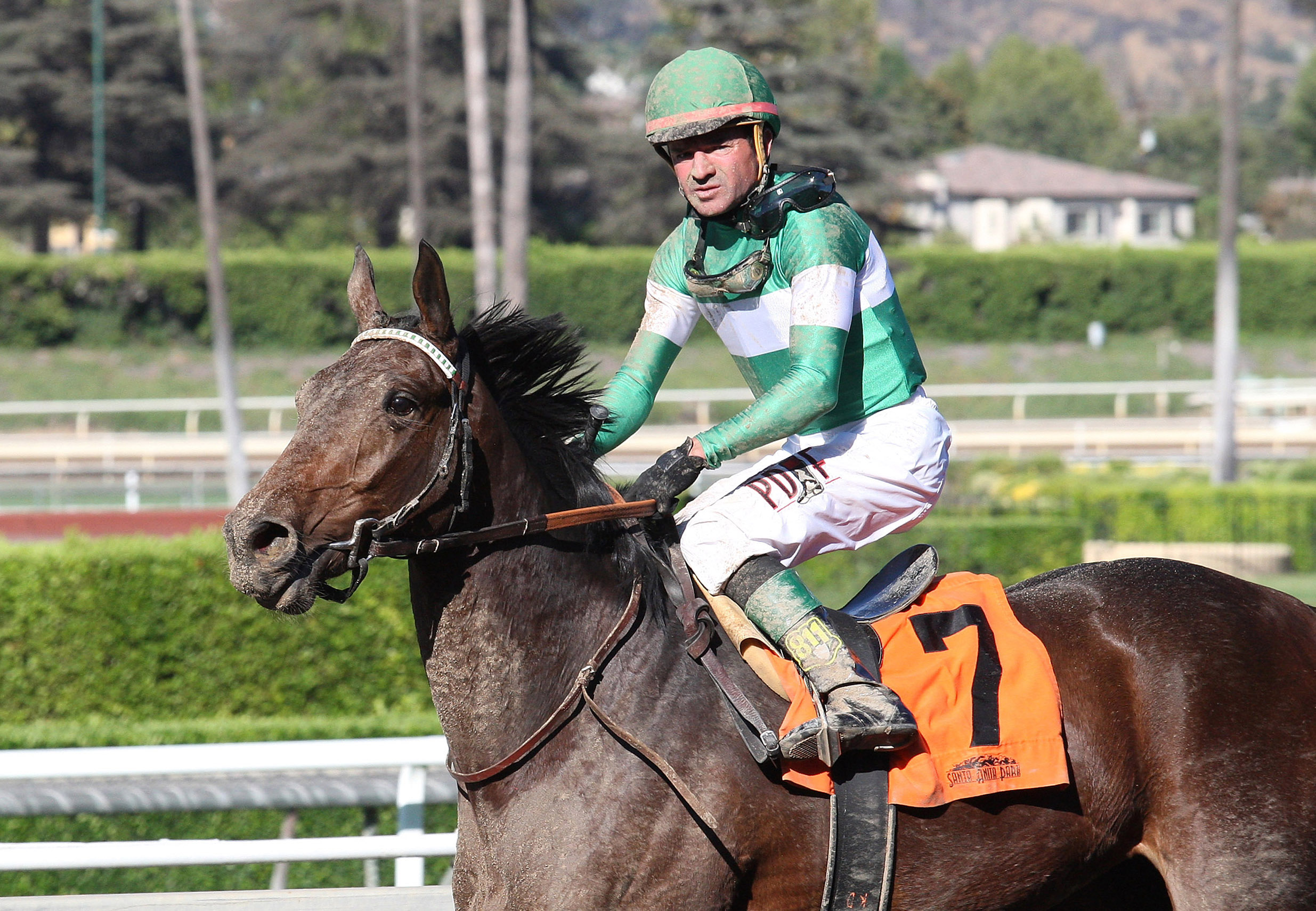 Majestic Quality finishes third in a Sept. 30 maiden race