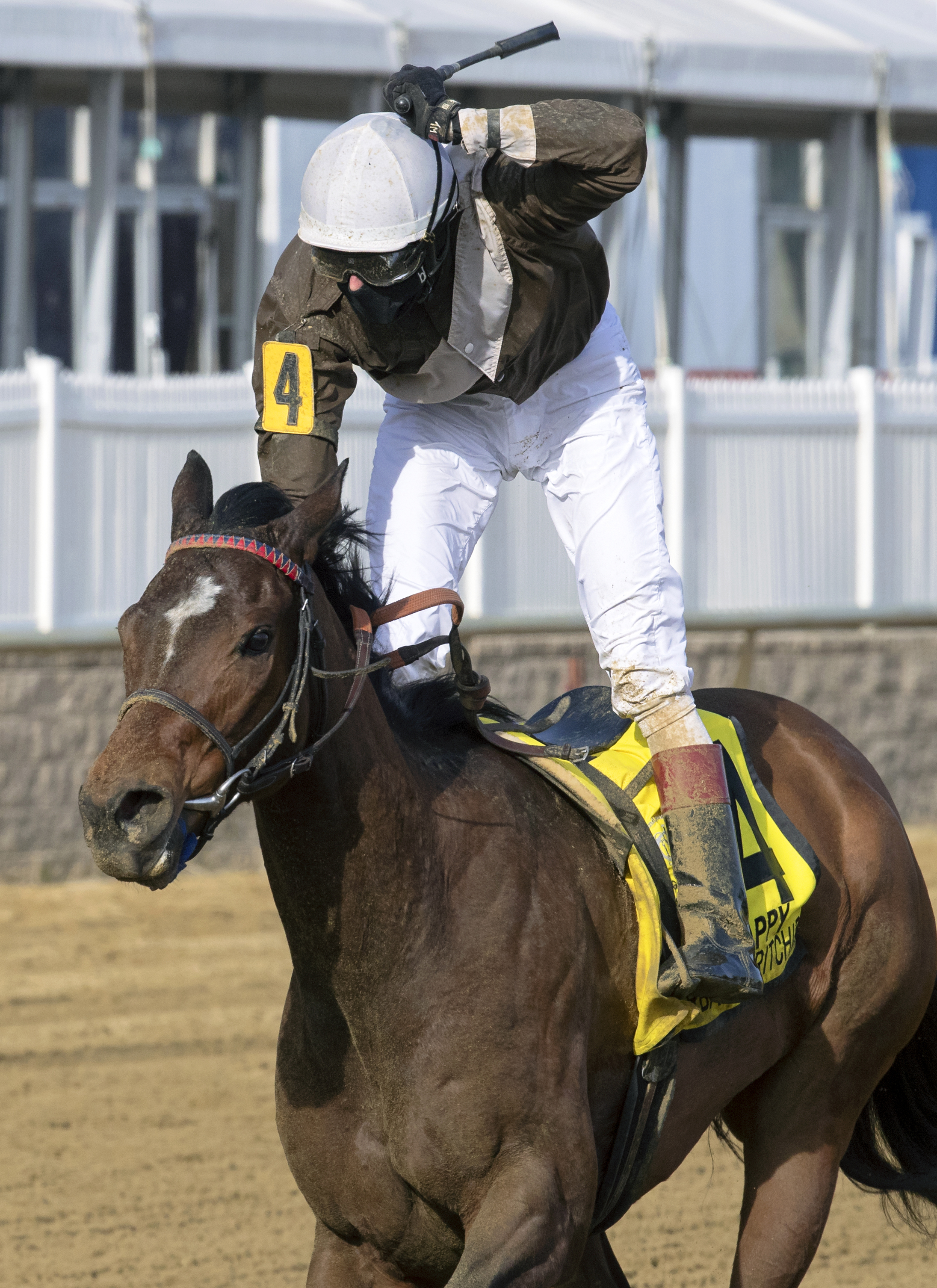 Majestic Reason wins the 2020 Barbara Fritchie Stakes at Laurel Park