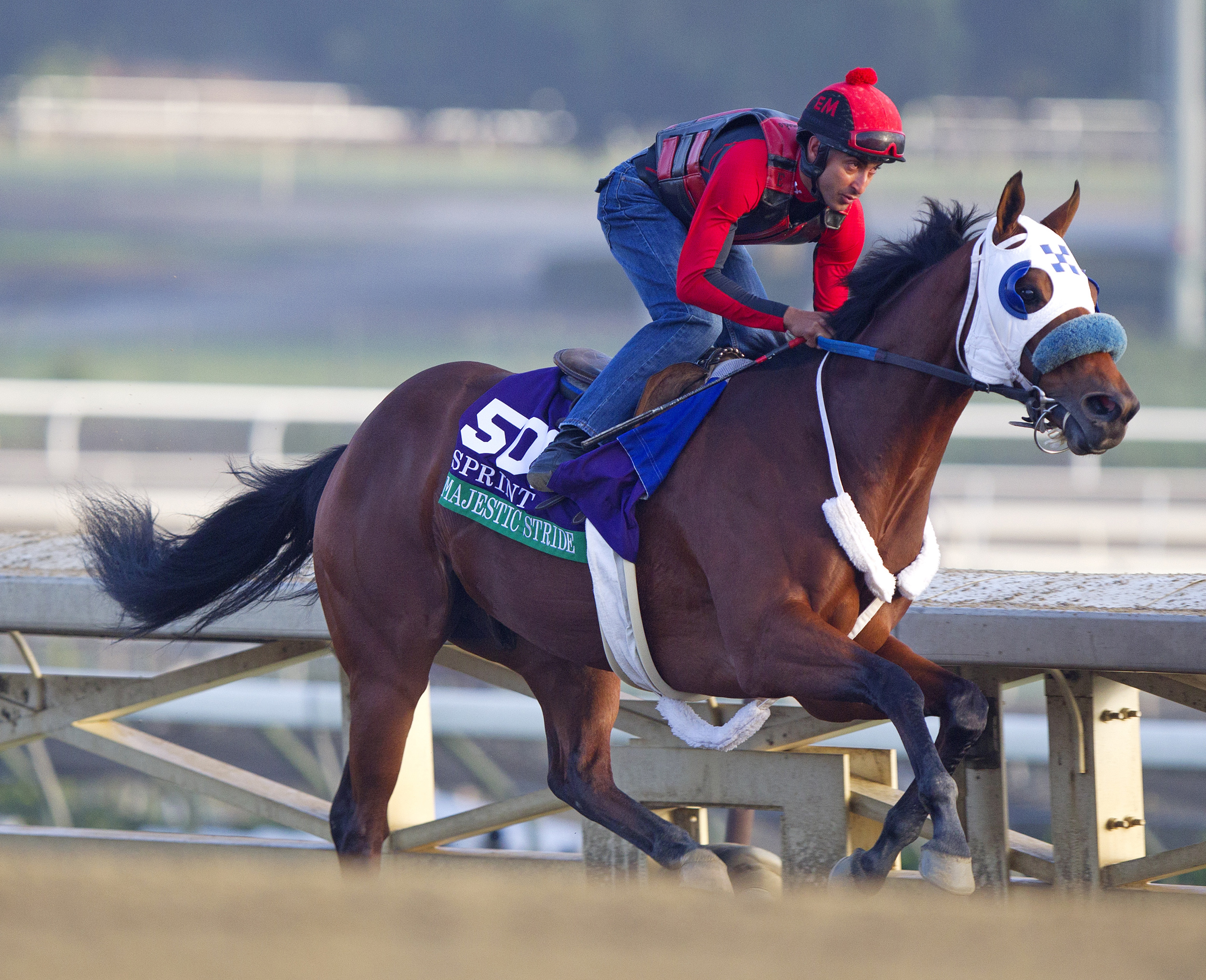 Majestic Stride