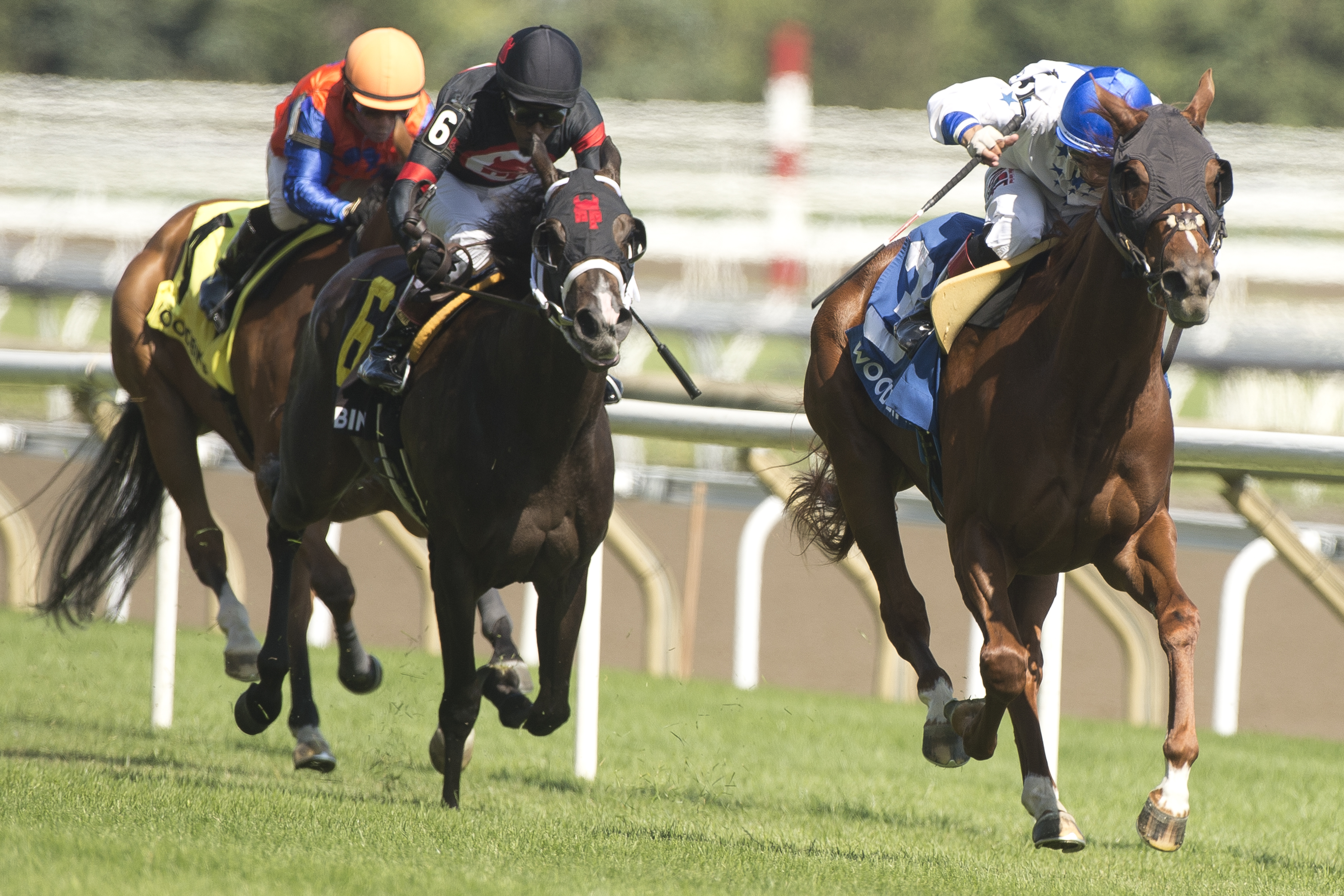 Majestic d'Oro wins the Alywow Stakes at Woodbine on July 9 2022