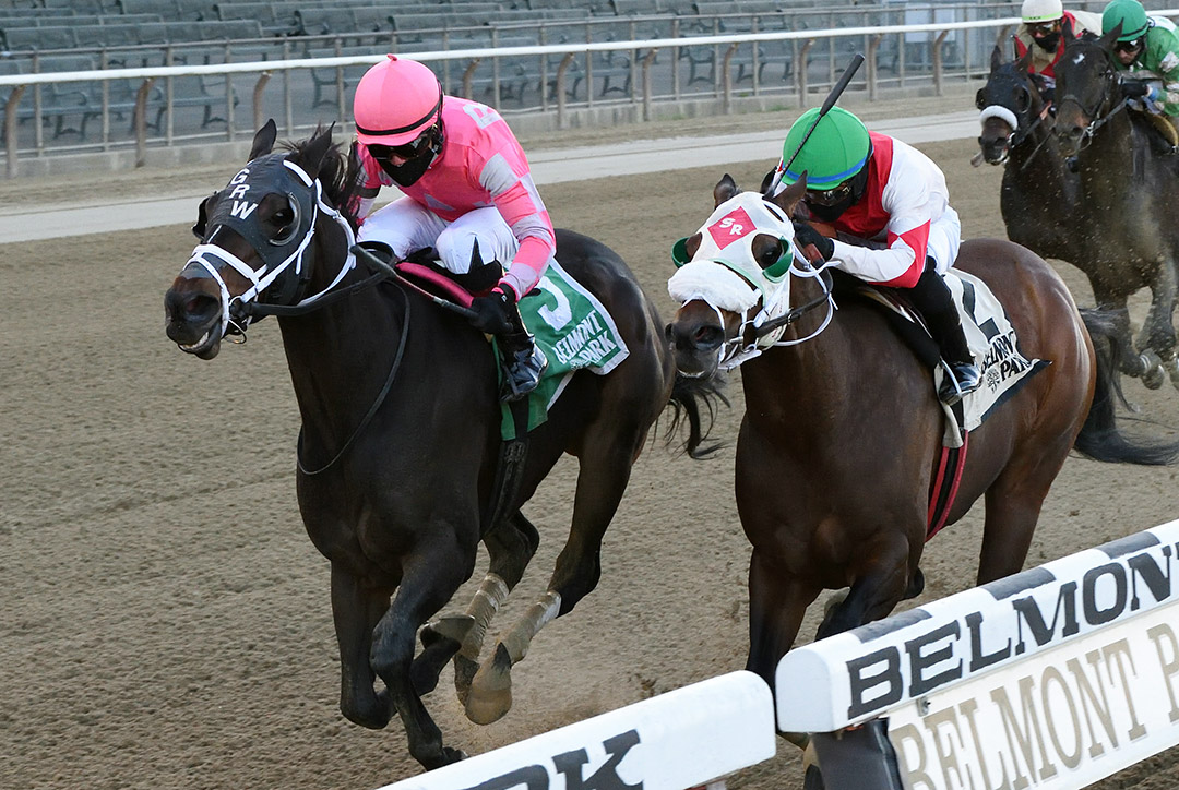 Majestic Dunhill (left) wins the Bold Ruler Handicap at Belmont Park