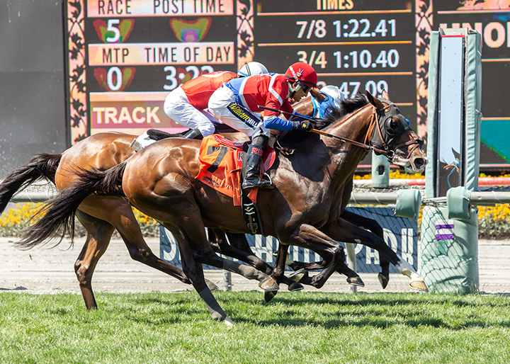Majestic Eagle (No. 7) wins the 2019 American Stakes at Santa Anita Park