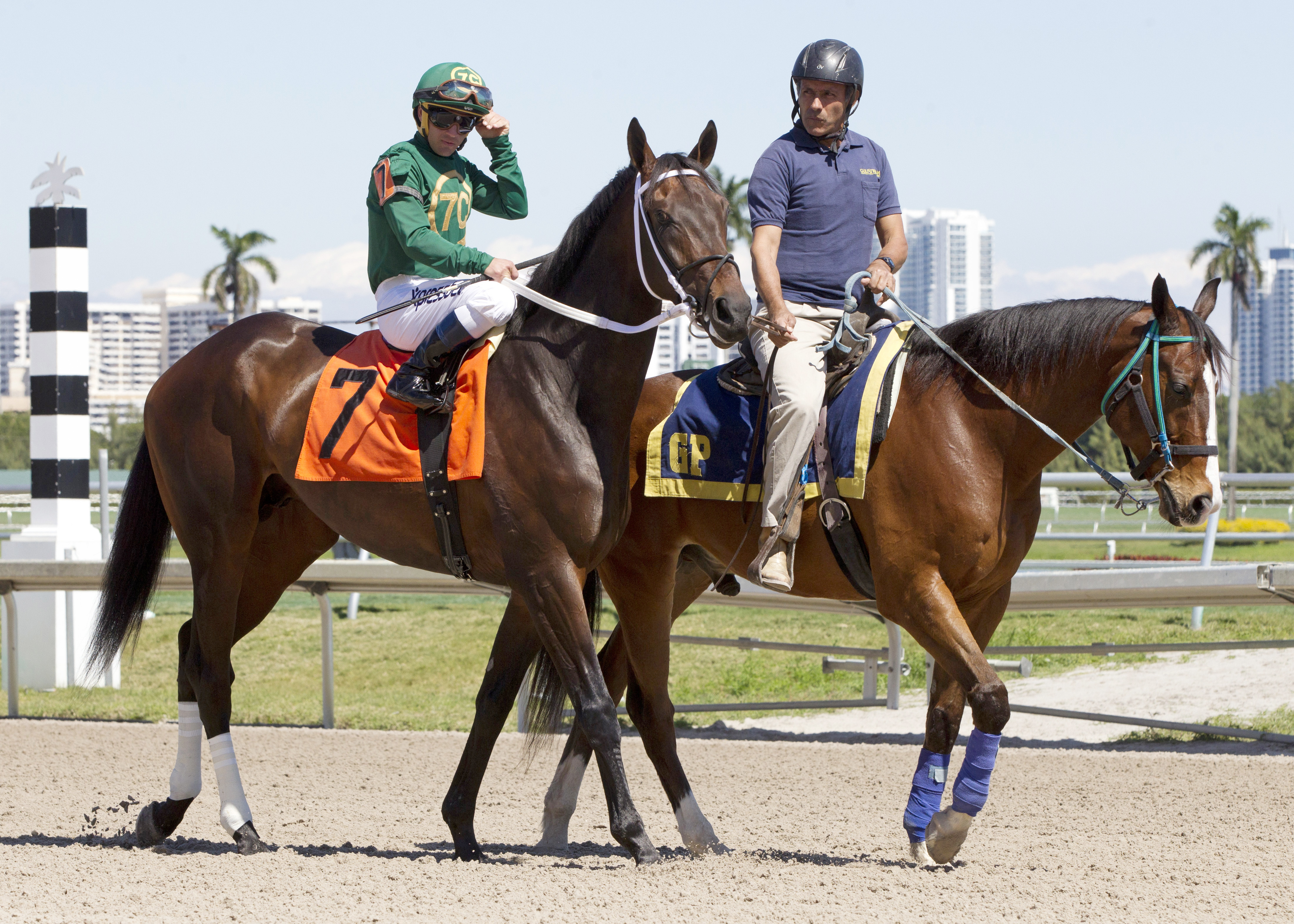 Majesto at Gulfstream Park