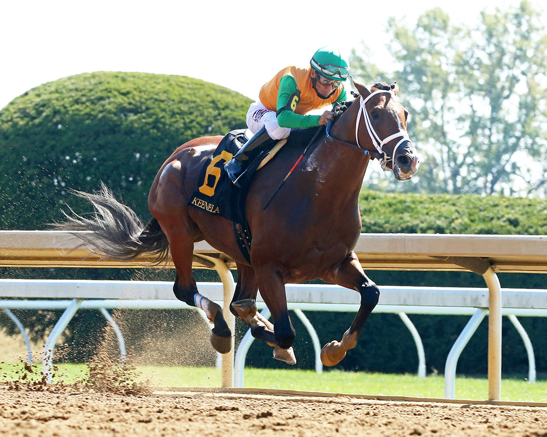Major Cabbie at Keeneland