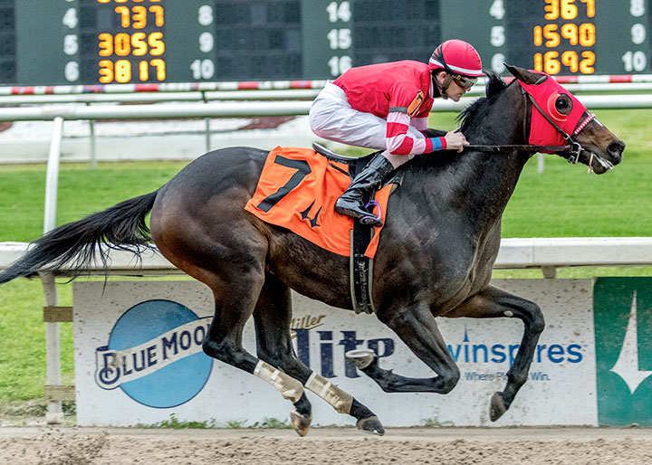 Major Fed wins a Jan. 1 maiden race at Fair Grounds