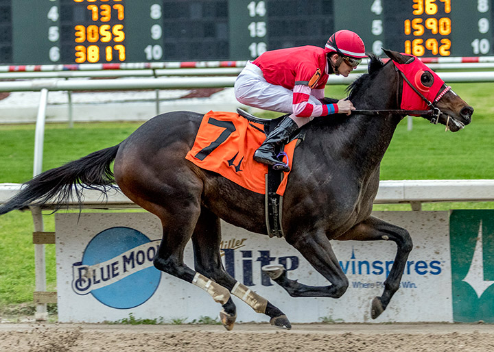 Major Fed wins a Jan. 1 maiden race at Fair Grounds