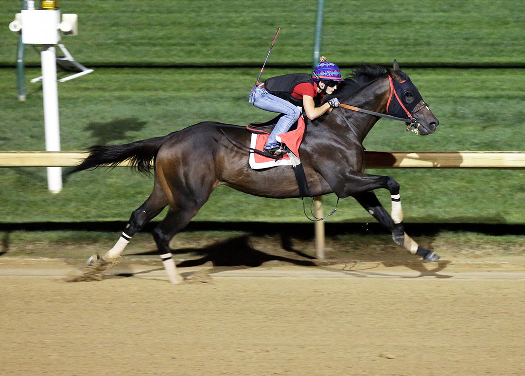 Major Fed trains at Churchill Downs on Aug. 18