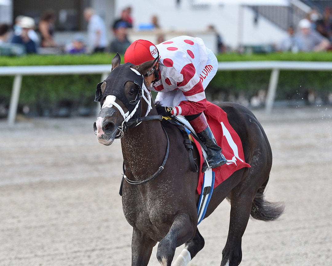 Make It Big wins the Juvenile Sprint Stakes at Gulfstream Park