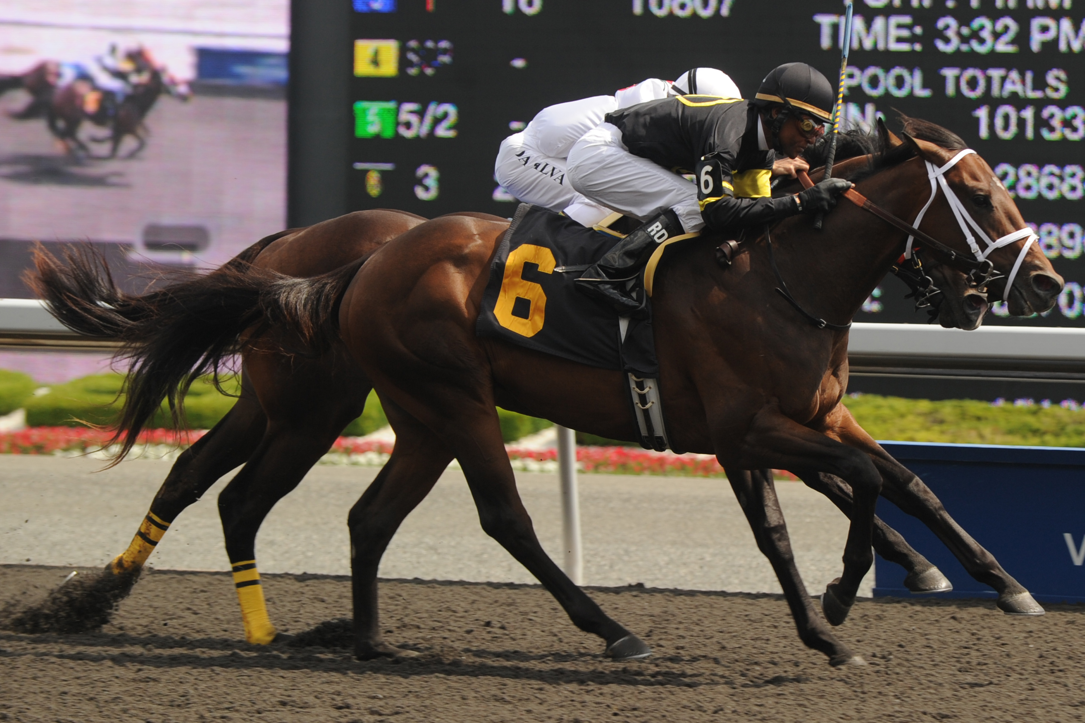 Making Amends/Clarendon Stakes