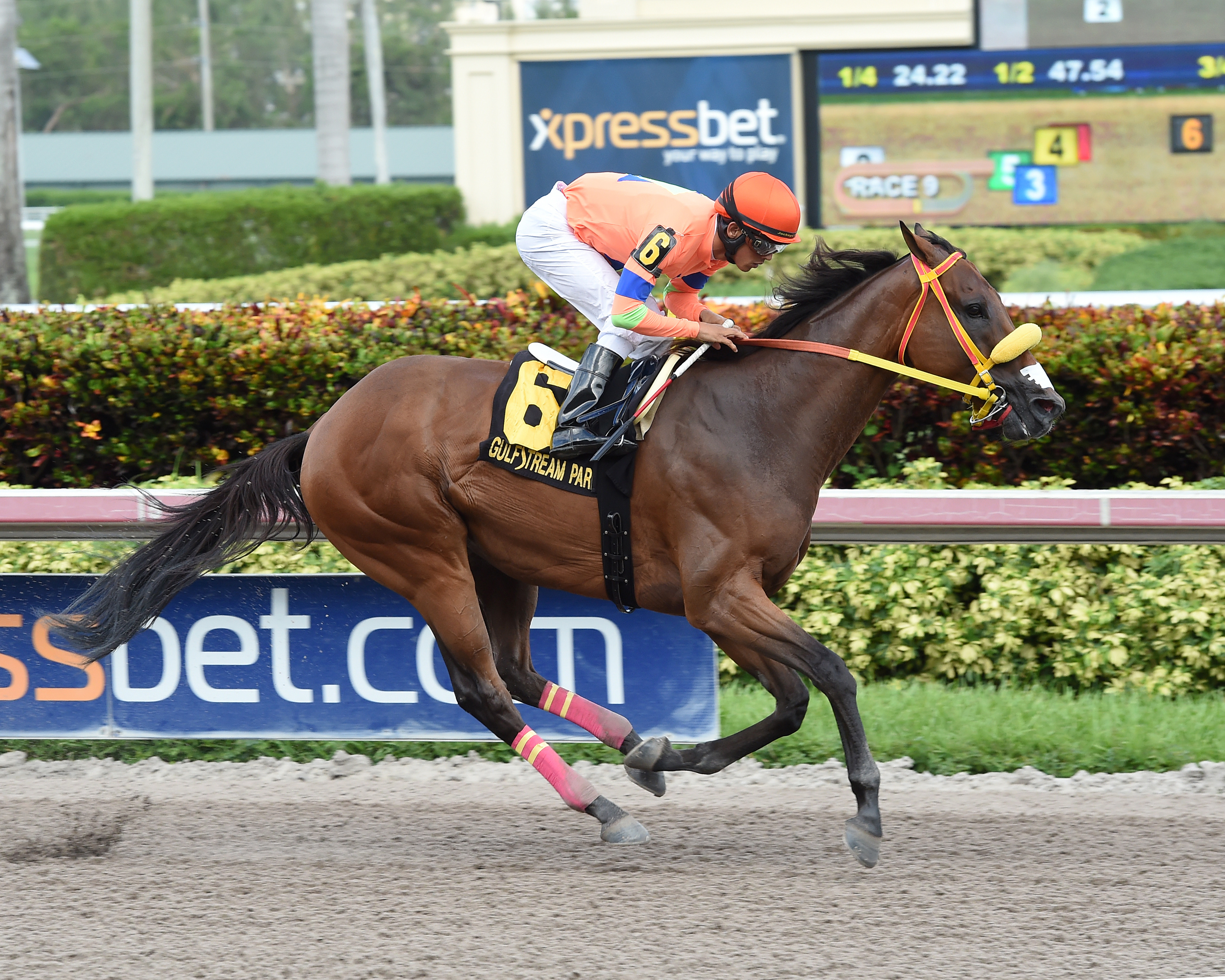 Mal Guapo wins the Perfect Season Stakes