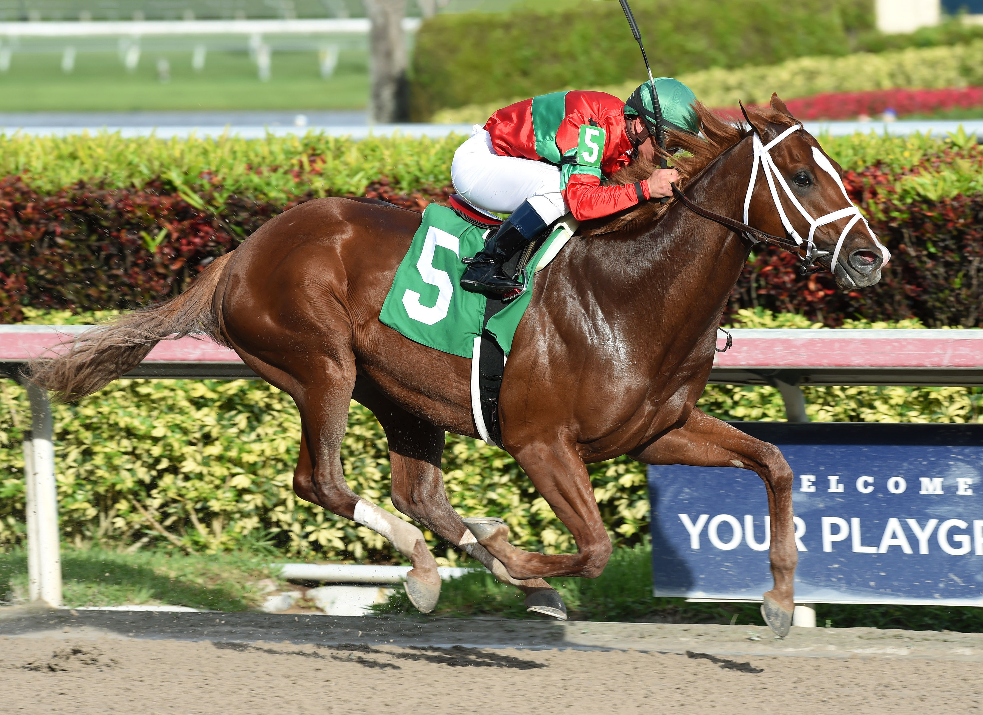 Malagacy wins a maiden race