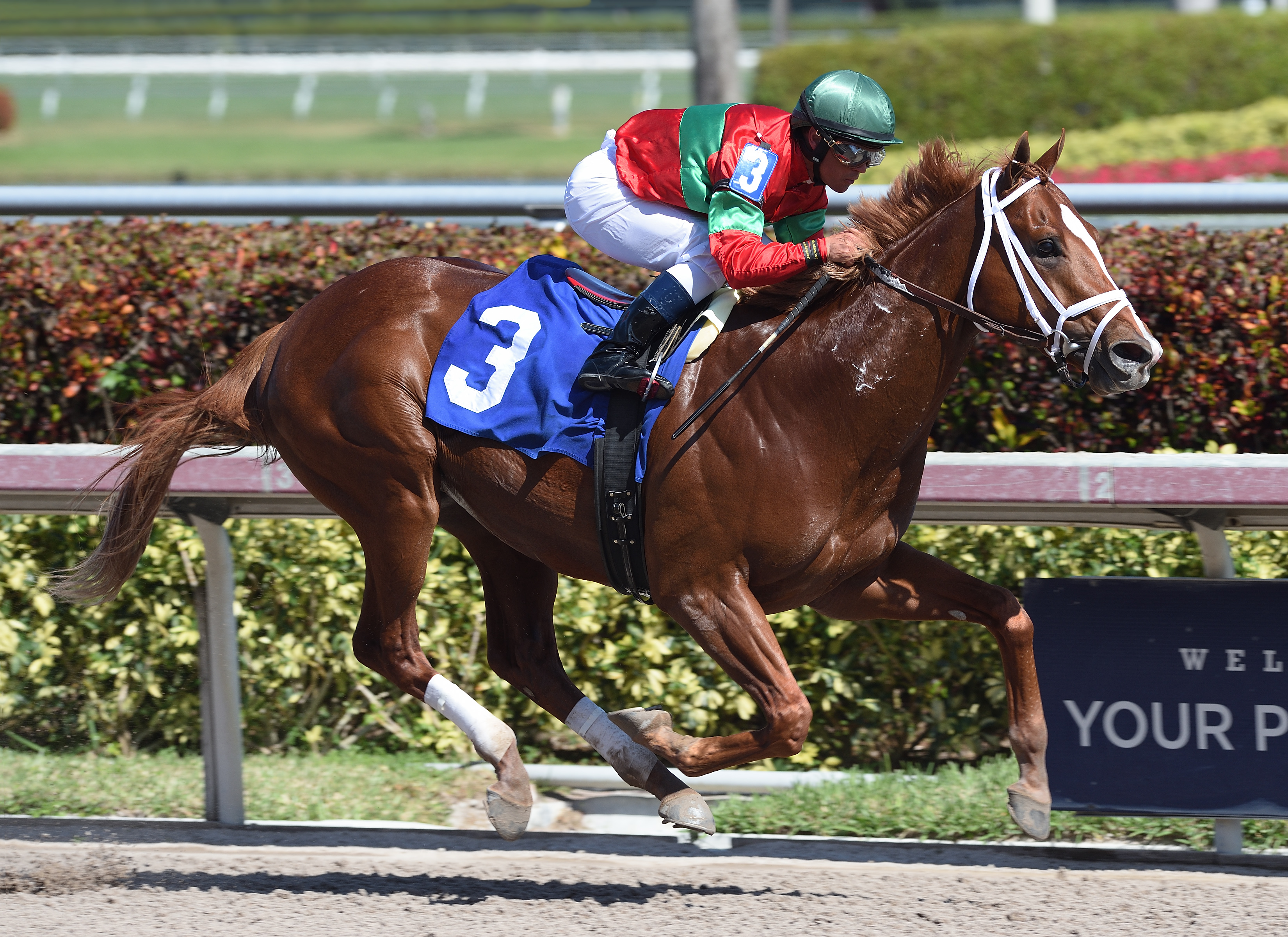 Malagacy wins an Feb. 12 optional claiming race
