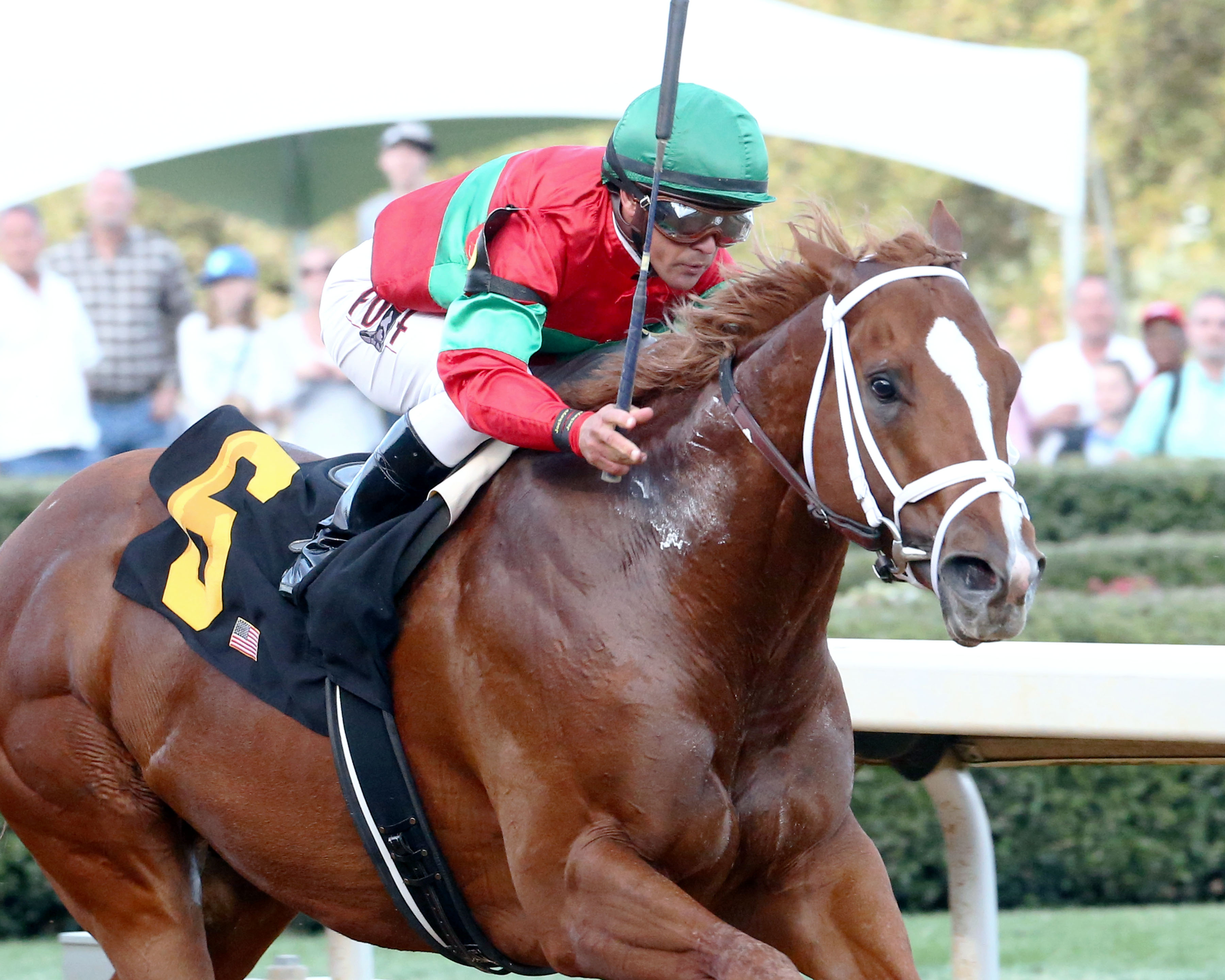 Malagacy wins the Rebel Stakes
