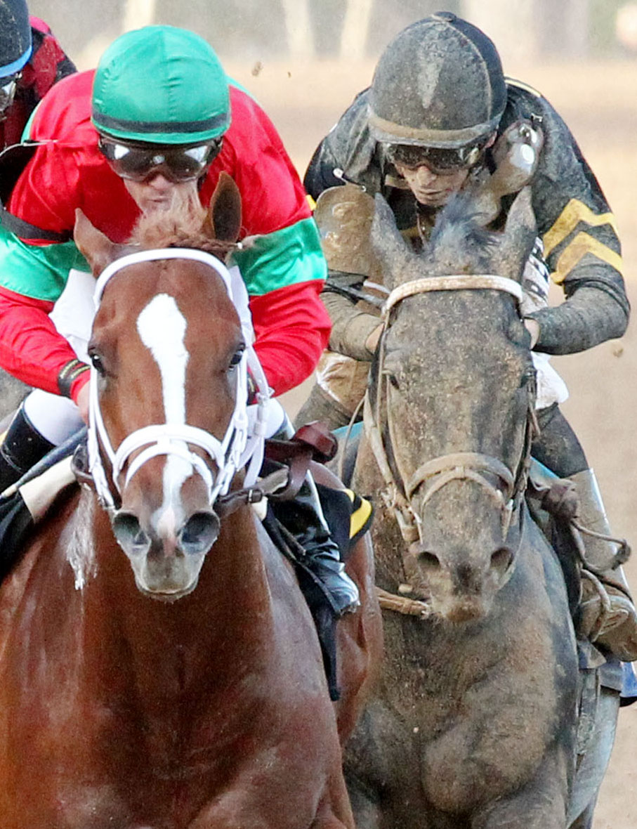 Sonneteer finishes second in the Rebel Stakes