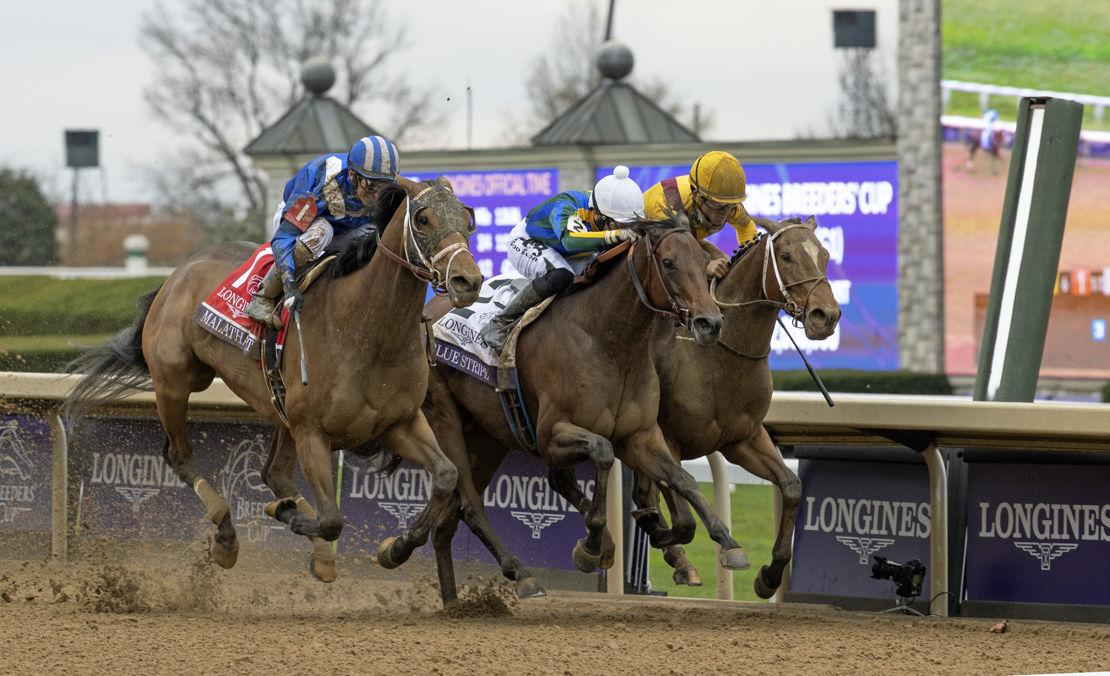 Malathaat - BC Distaff 2022