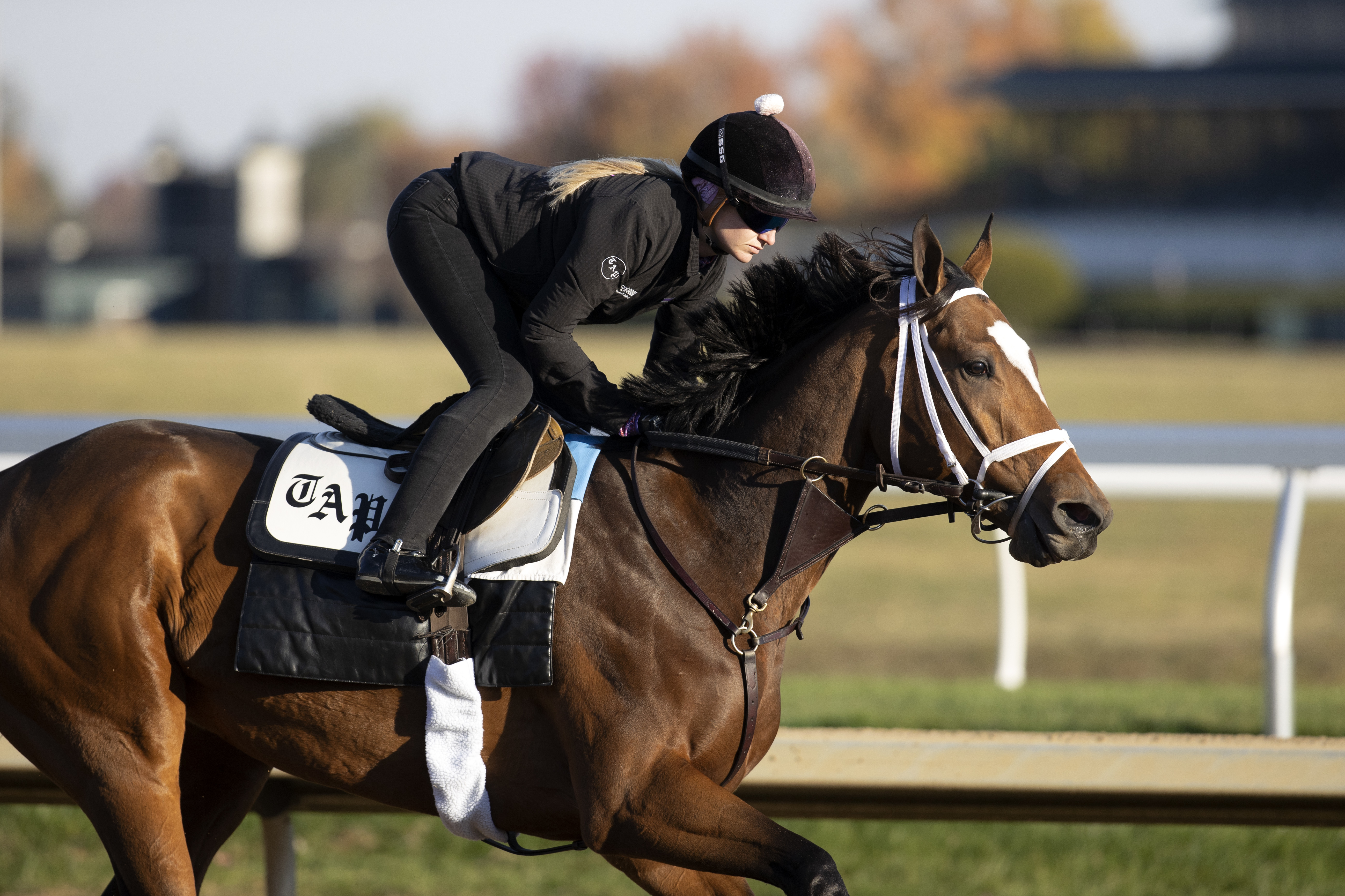 Malathaat trains at Keeneland Oct 24 2022