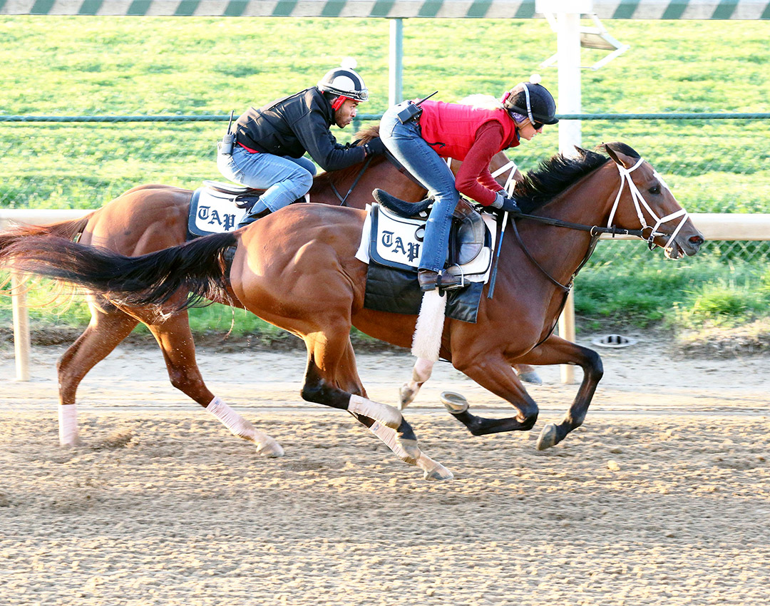 Malathaat works at Churchill Downs on April 16