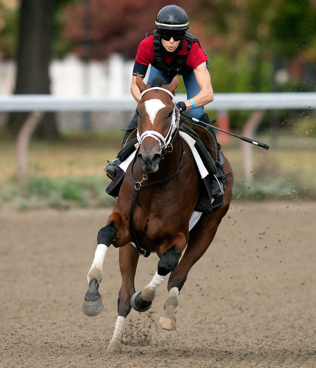 Malathaat trains at Saratoga Race Course on Sept. 27