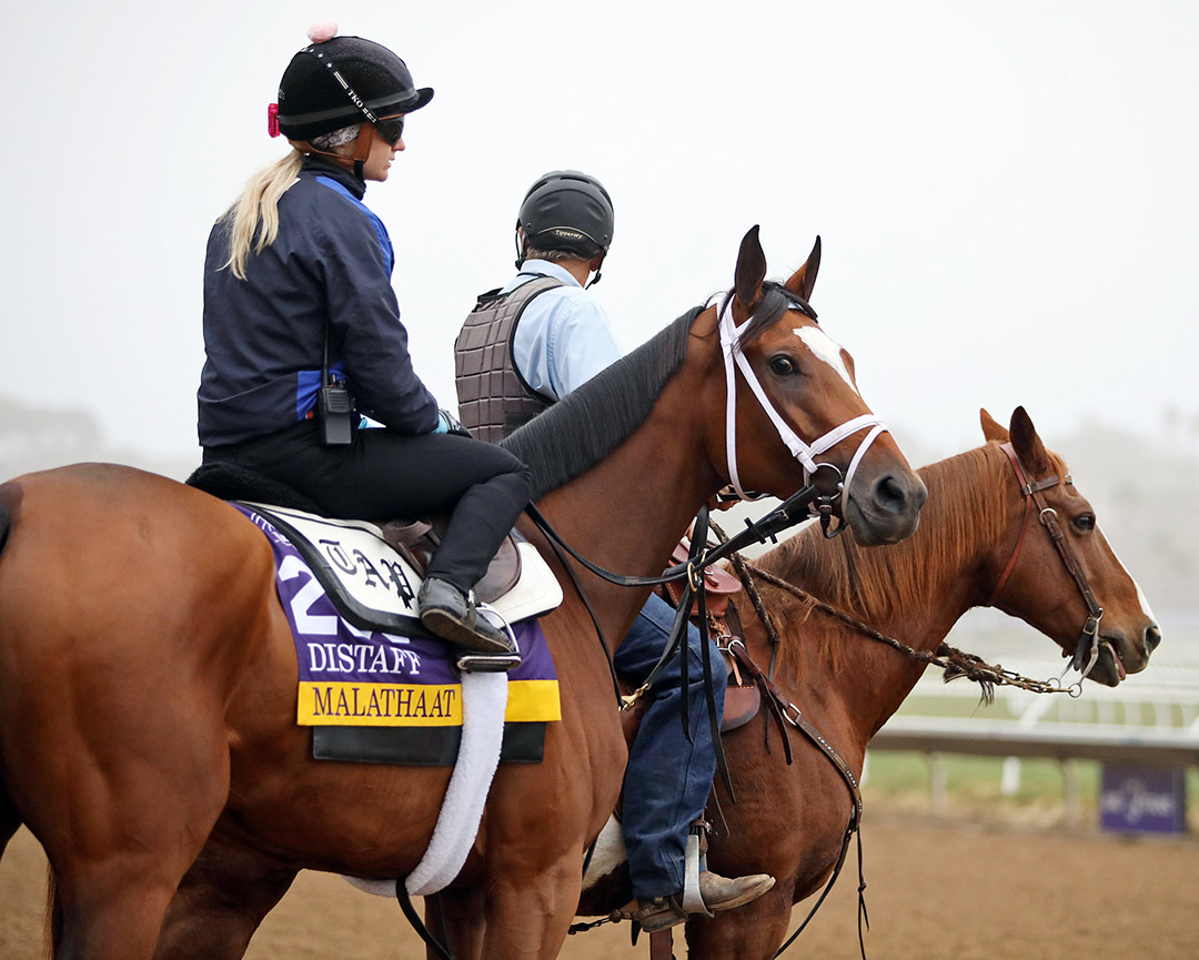 Malathaat at Del Mar in November 2021
