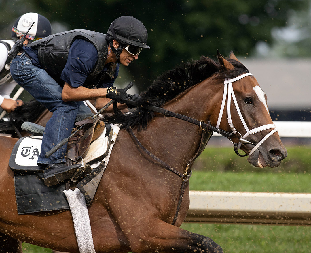 Malathaat trains at Saratoga Race Course on July 17
