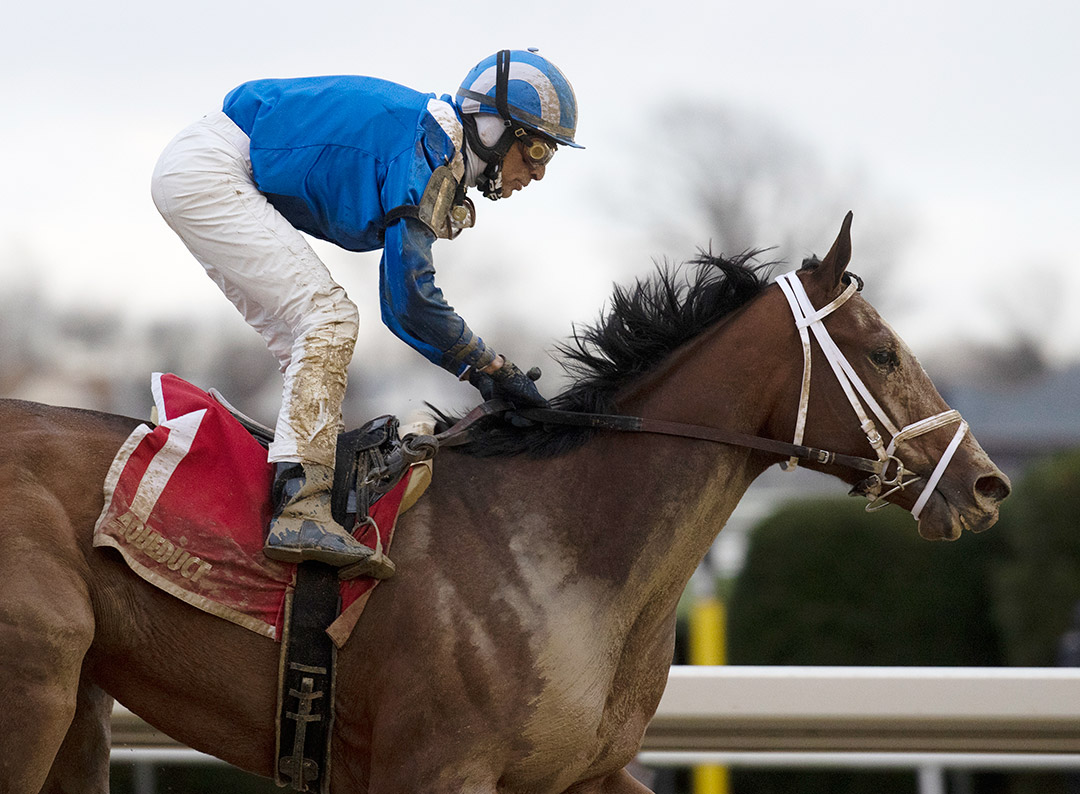 Malathaat wins the 2020 Demoiselle Stakes at Aqueduct Racetrack