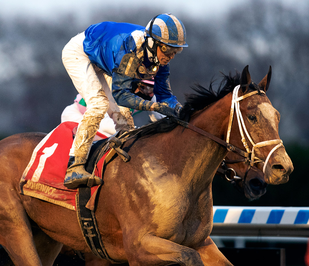 Malathaat (left) wins the 2020 Demoiselle at Aqueduct