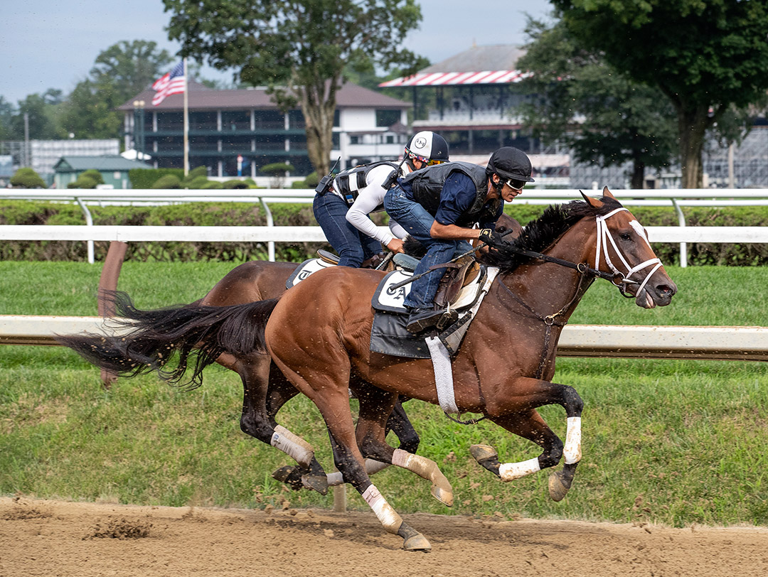 Malathaat trains at Saratoga Race Course on July 17