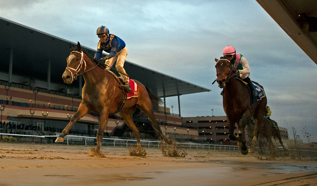 Malathaat (left) wins the 2020 Demoiselle at Aqueduct