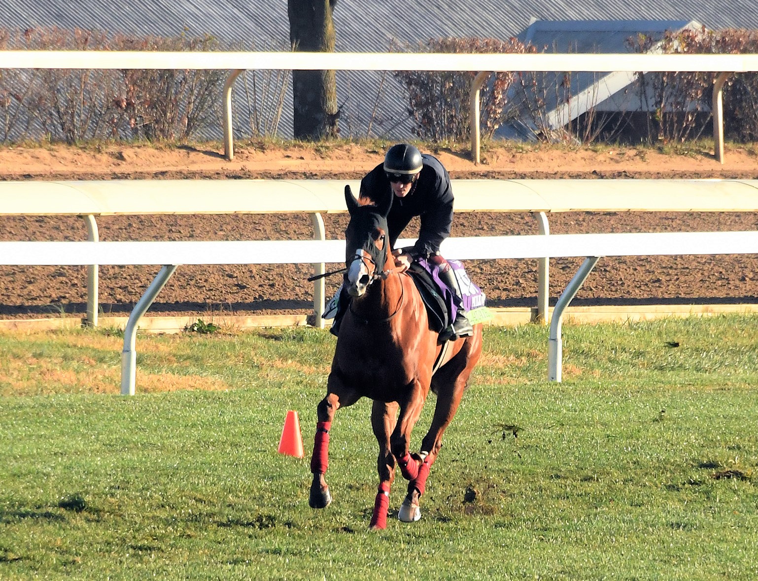 Malavath breezes at Keeneland Nov 3 2022