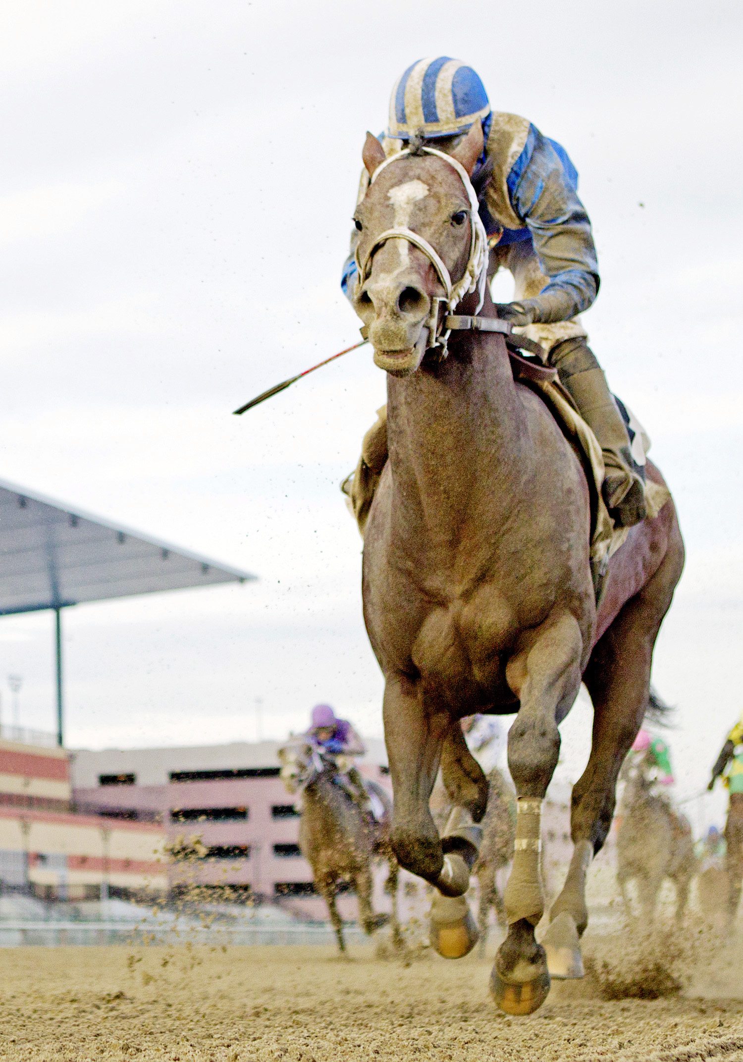 Maleeh finishes second in an allowance